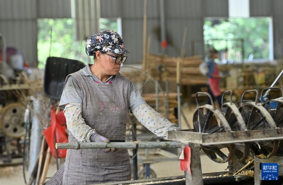 広西壮族自治区三江侗族自治県高基瑶族郷のある企業で竹を加工する作業員。（8月6日撮影・陸波岸）