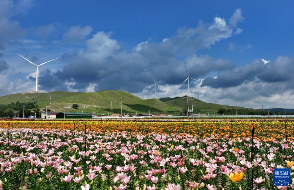 初秋の草原に広がる絶景　河北省