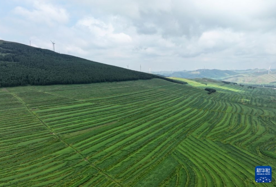 初秋の草原に広がる絶景　河北省