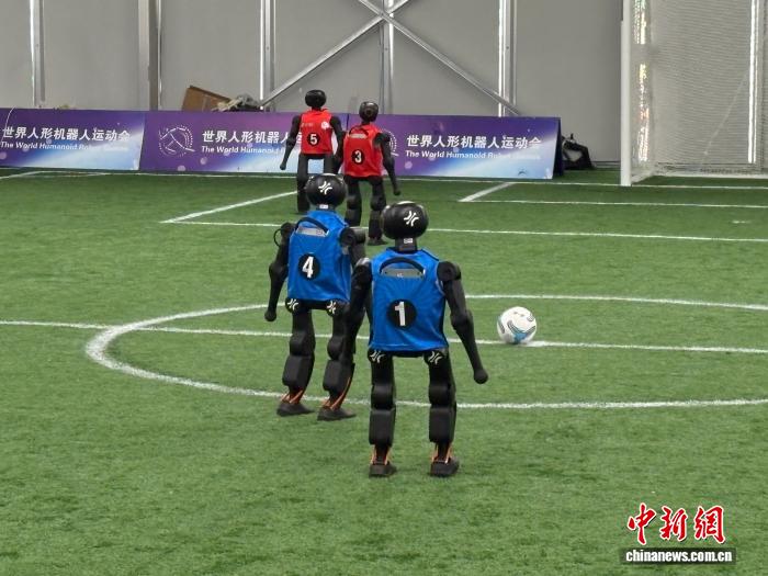 8月11日から16日まで、第2回世界人型ロボット競技大会のサッカー予選が北京国家スピードスケート館で開催される。写真は8月11日、予選で競技するロボット。撮影・陳杭。