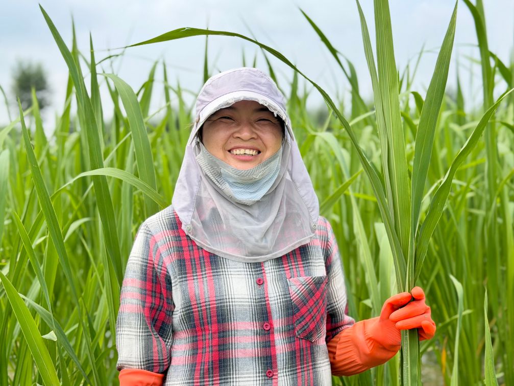 北方における南方野菜の栽培 マコモによって開拓された新天地