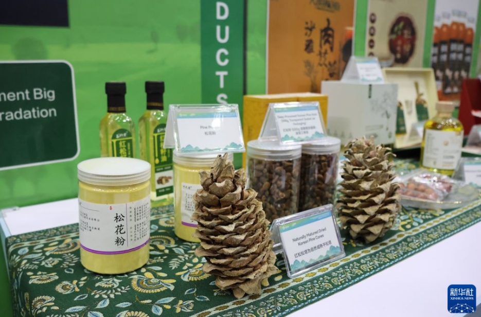 COP17「中国コーナー」で中国の砂漠化対策・経験成果を展示　モンゴル