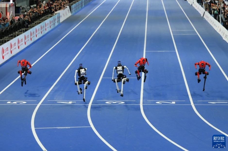 100メートル大型グループ決勝に臨む天驕チーム（写真中央）、天驍チーム（写真左から2番目）、風火閃電チーム（写真右）の人型ロボット（8月26日撮影・許雅楠）。