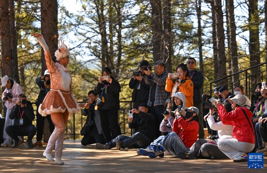 内蒙古自治区の阿爾山国家森林公園でパフォーマンスを撮影する観光客（9月16日撮影・貝赫）。
