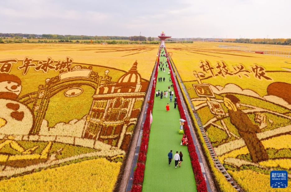 中国各地で「中国農民豊作節」のイベント開催