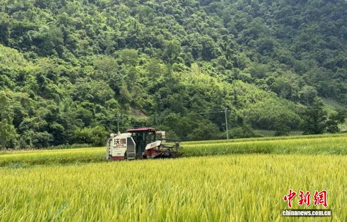 広西の「滴滴農機」、北斗端末の接続台数が1万7500台突破　作業面積は4万1300ヘクタール超に