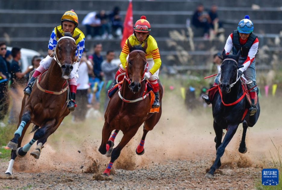 水族の伝統行事で草競馬「村馬」開催 貴州省三都