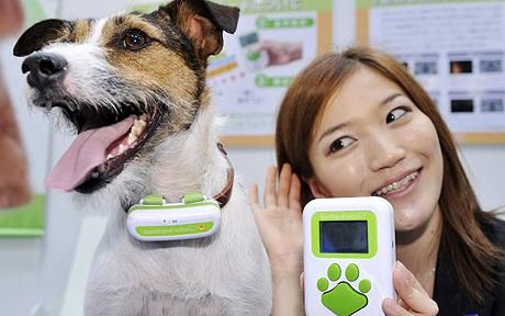 日本で犬語翻訳機を発売 犬との会話が現実に