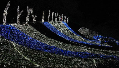 400万球の光の祭典「さがみ湖イルミリオン」がスタート