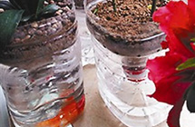 中国の学生が新型植木鉢を発明　特許権を180万元で売却