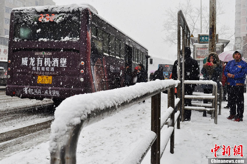 降雪後のバス停。