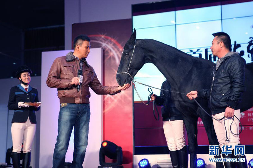  2月28日、馬の「雅風」に餌を与える第1回北京馬術祭のイメージ大使、胡軍氏（左から2番目）。