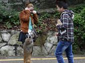 貴州・黔霊山公園　サルのイタズラで観光客に被害