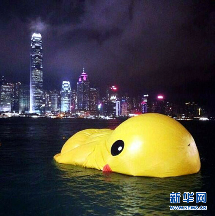 香港　ビクトリア湾で「倒れる」アヒル