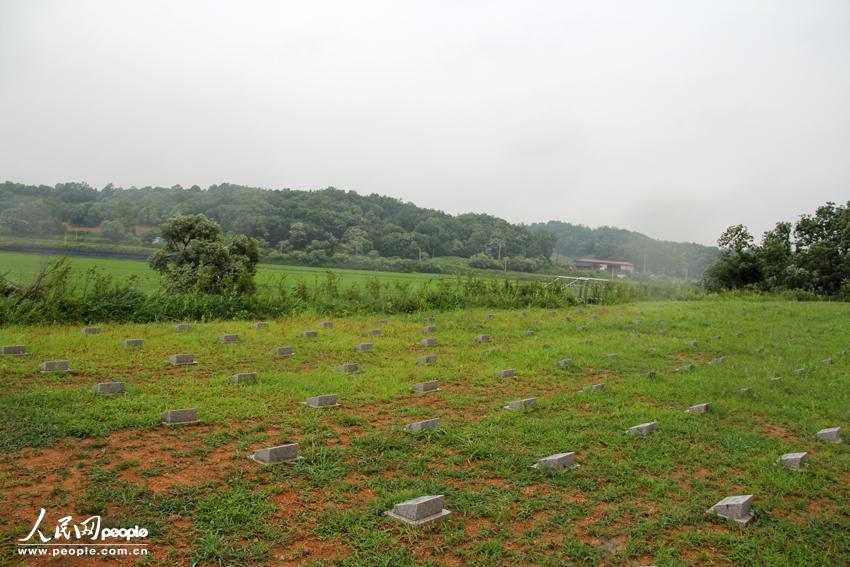 韓国唯一の中国人民志願軍墓地を尋ねる (6)