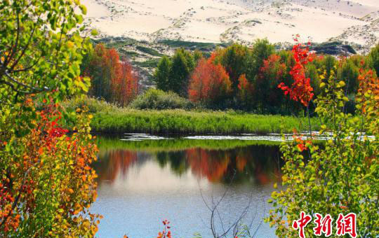 新疆哈巴河県　桃源郷のような白沙湖