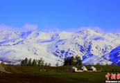 新疆哈巴河県の雪山と草原の風景