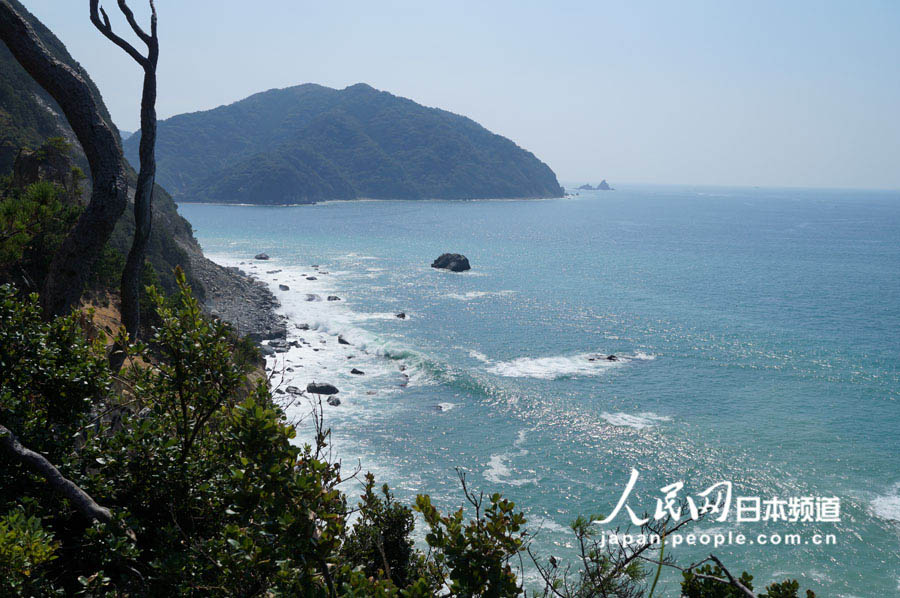 日本の伊豆半島海岸の美しい風景 (10)