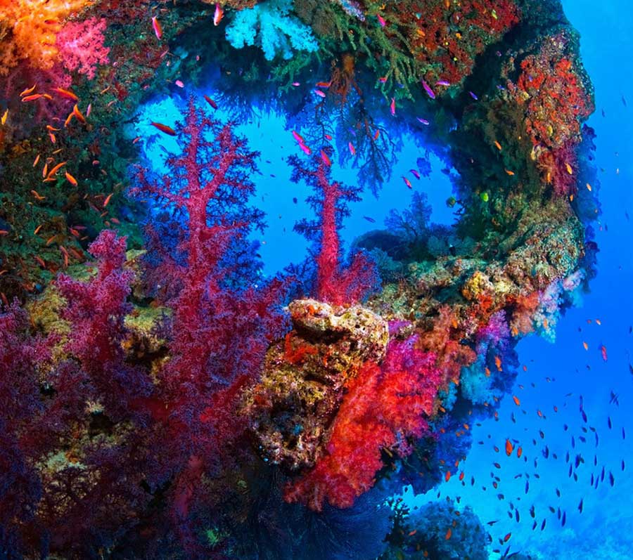 神秘的で美しい海　海底の95%は未知の世界