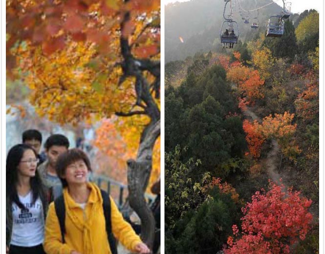 北京　香山の紅葉シーズン