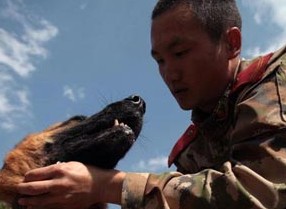 雲南省　退役軍人との別れを惜しむ警察犬