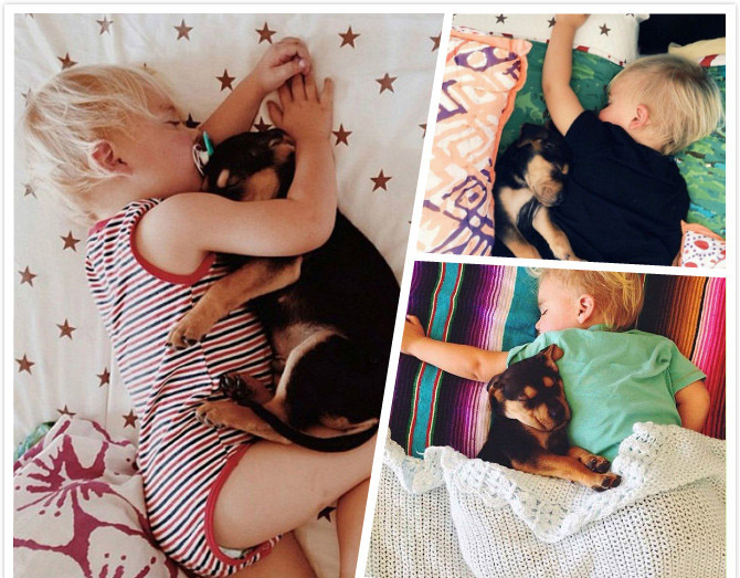 抱き合って眠る赤ちゃんとイヌの可愛らしい写真