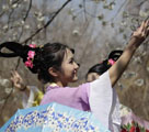 河南省で桜が開花　花見を楽しむ美人モデル