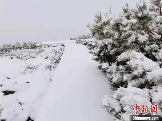 初雪となった内モンゴル自治区大興安嶺地区（撮影・白音）。