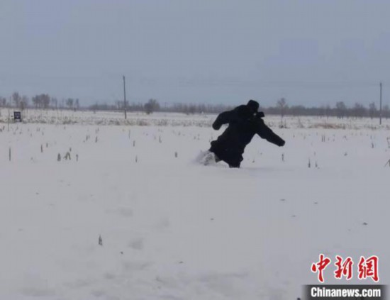 1メートル近く積もった雪の中を歩いてウシを探す警察官（画像提供・通遼市公安局科爾沁区分局）。