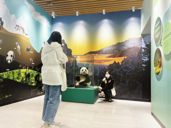 ジャイアントパンダ国家公園設立1周年特別展で写真を撮る女性たち。