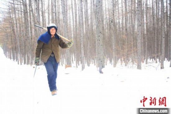 内蒙古で39年間にもわたり木を植え続けている男性