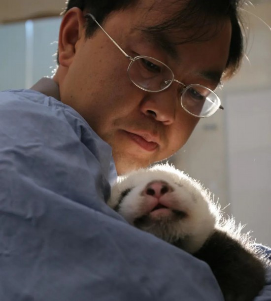 子パンダを抱きかかえる魏栄平さん。（撮影・何海洋）