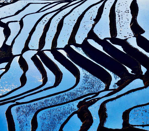 地球上で最も美しい曲線を持つ棚田　雲南省
