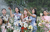 チャイナドレスの美女たち、百合畑で美の競演