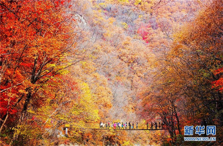 中国各地の美しい秋の景色