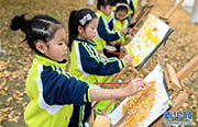 園児たち、黄金色に染まるイチョウ林の美しい景色を描く　浙江