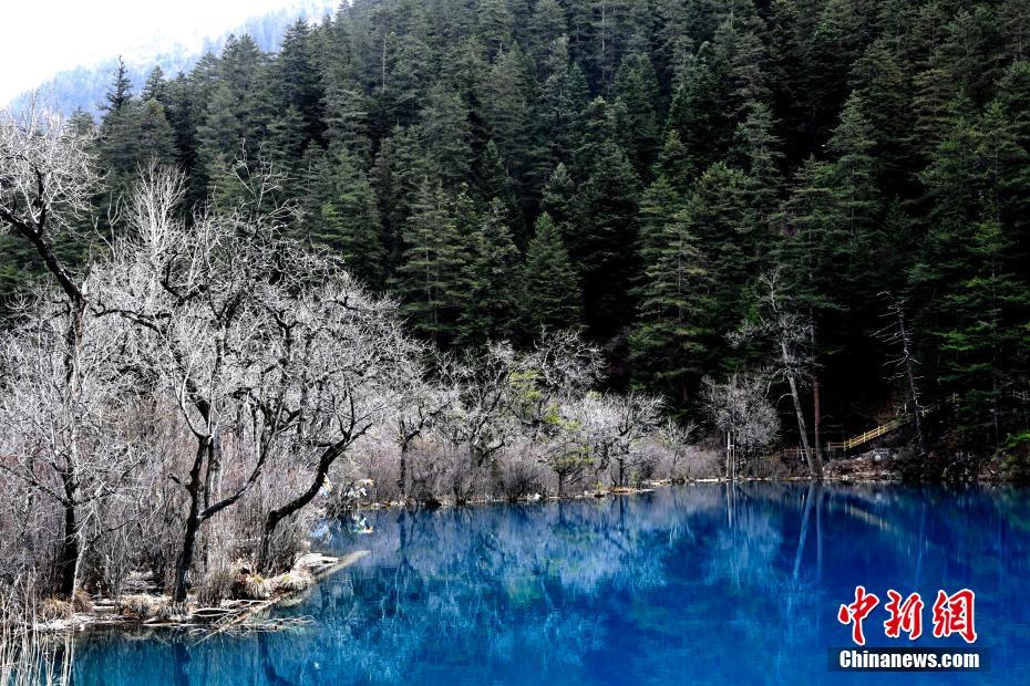春の九寨溝、息を呑むほどの美しさ　四川省