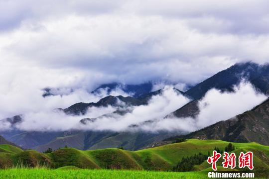 7月上旬、美しい風景が広がる甘粛省張掖市粛南ユグル族自治県の草原（撮影・武雪峰）。