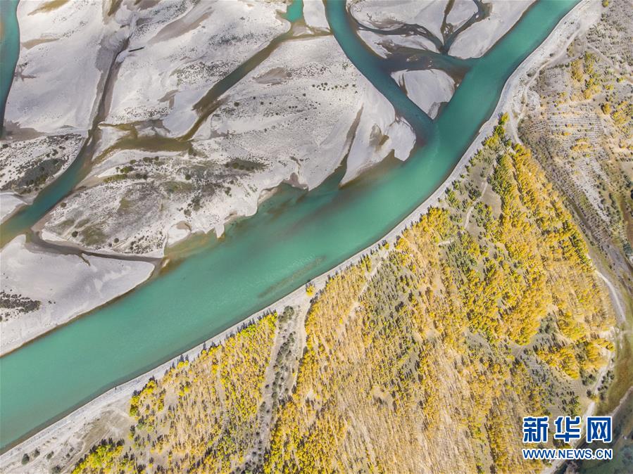 秋が深まり美しい景色広がる西蔵自治区の拉薩河