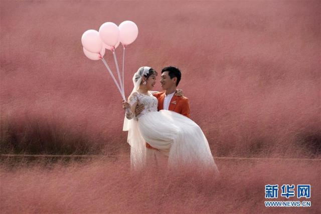 10月23日、鄭州竜湖湿地公園で結婚記念写真を撮る新婚カップル（撮影・李安）。