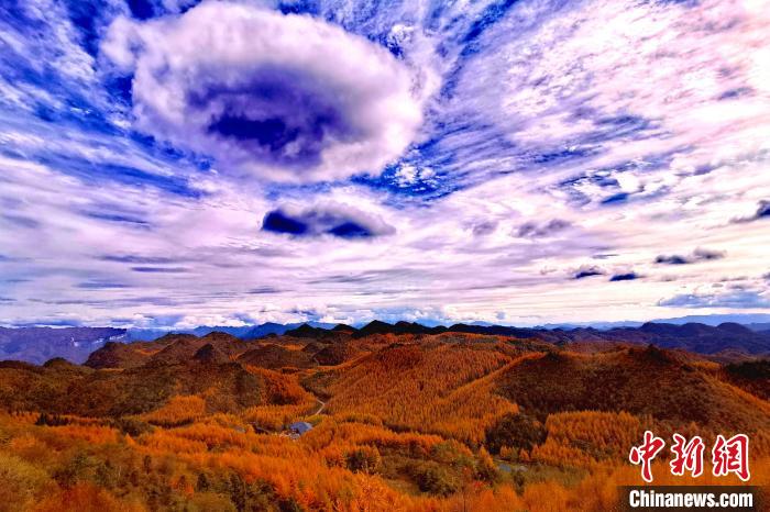最も美しい秋景色の季節を迎えた、四川省と陝西省の境界にある四川省広元市朝天区の曽家山（撮影・苗志勇）。