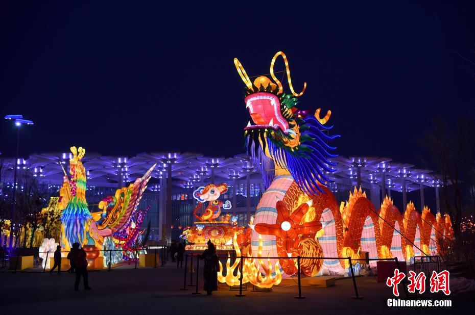 1月5日、2019年北京世界園芸博覧会会場に明るく灯された巨大竜と鳳凰をデザインした大型ランタン（撮影・侯宇）。