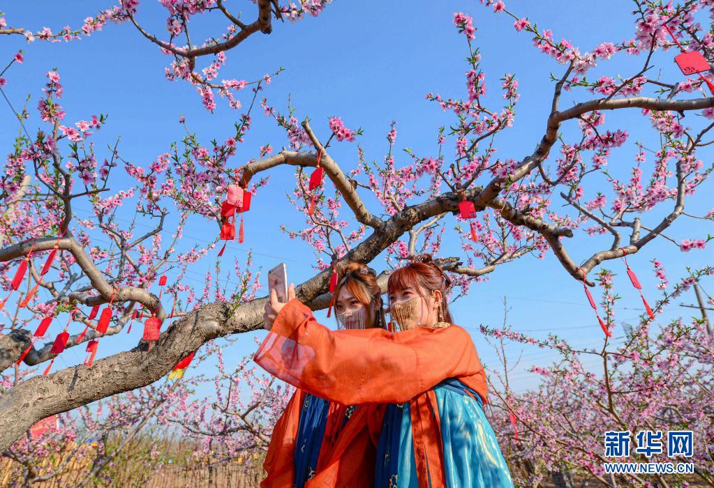 4月4日、邯鄲市邯山区南堡郷万畝桃園モデルエリアで写真を撮影する女性ら（撮影・王暁）。