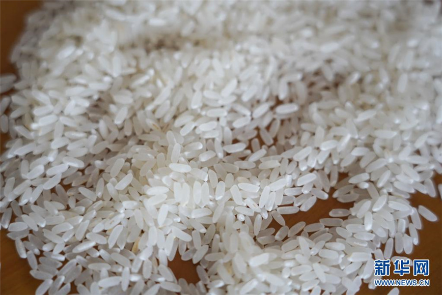 中国が早生ジャポニカ米新品種育成　1四半期早く新米食べられる
