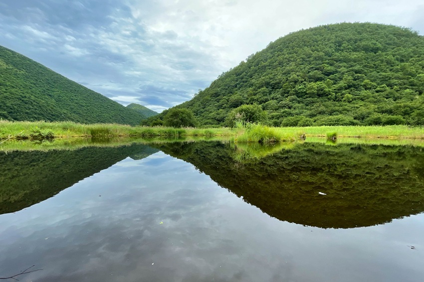 重慶五里坡自然保護区が「世界遺産申請」に成功