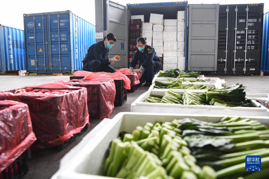2月21日、深セン港大鏟湾で、香港地区向けの野菜の検査を行う深セン税関職員（撮影・梁旭）。