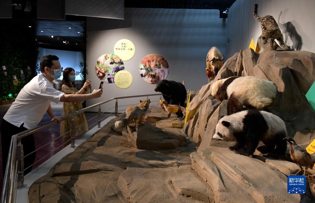 河北省石家荘市の河北博物院で6月30日、動物標本を撮影する市民（撮影・陳其保）。