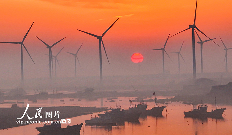 海洋牧場の急成長をサポートする風力発電　山東省栄成