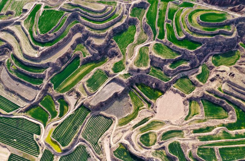上空から撮影した山西省運城市芮城県永楽鎮の黄土棚田（撮影・劉宝成）。