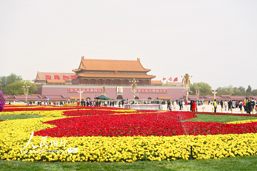 北京の天安門広場の両側に設置されたメーデーを記念する花壇（撮影・胡慶明）。